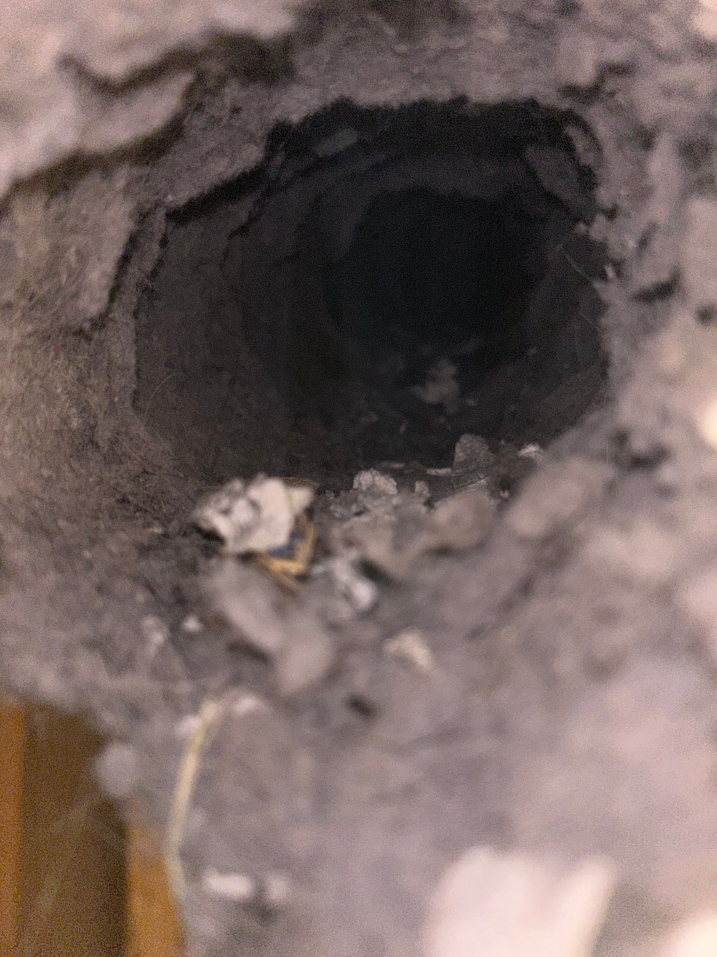 Dryer Vent Cleaning