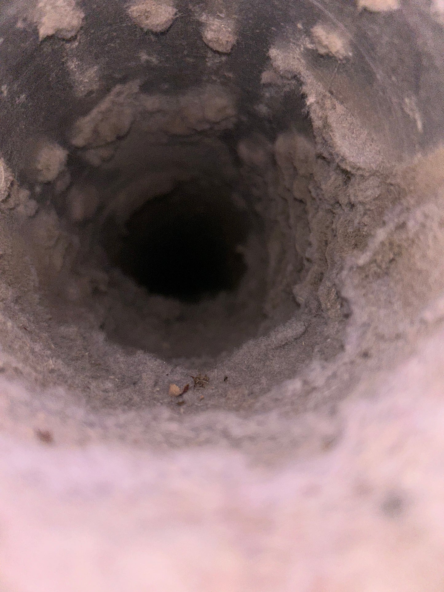 Dryer Vent Cleaning